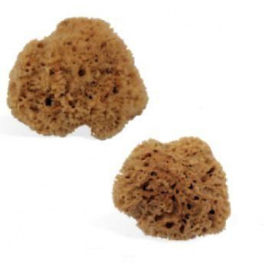 NATURAL MARINE SPONGE