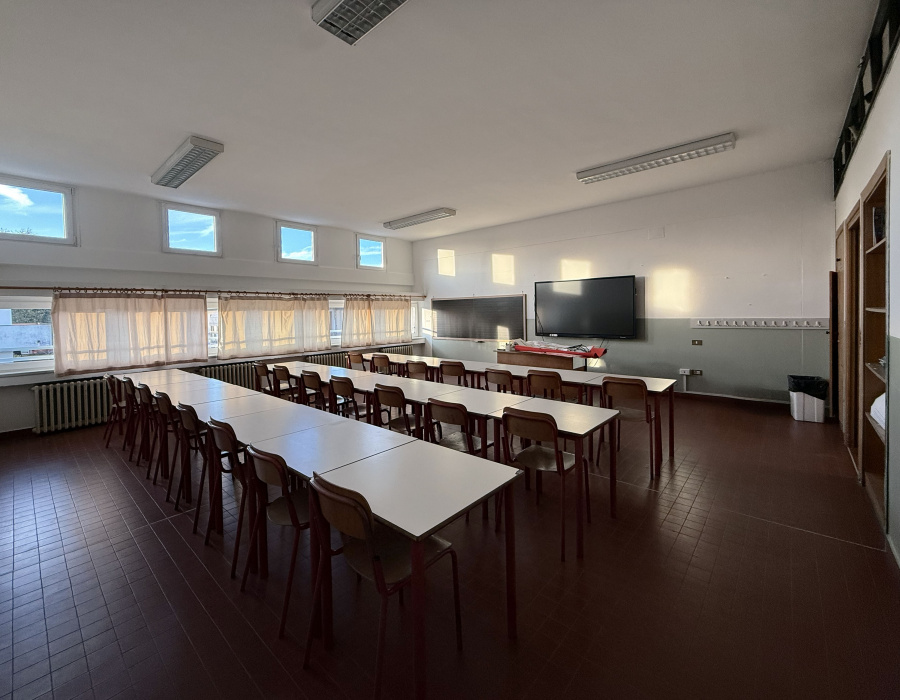 Isocolor fiesso d artico 11