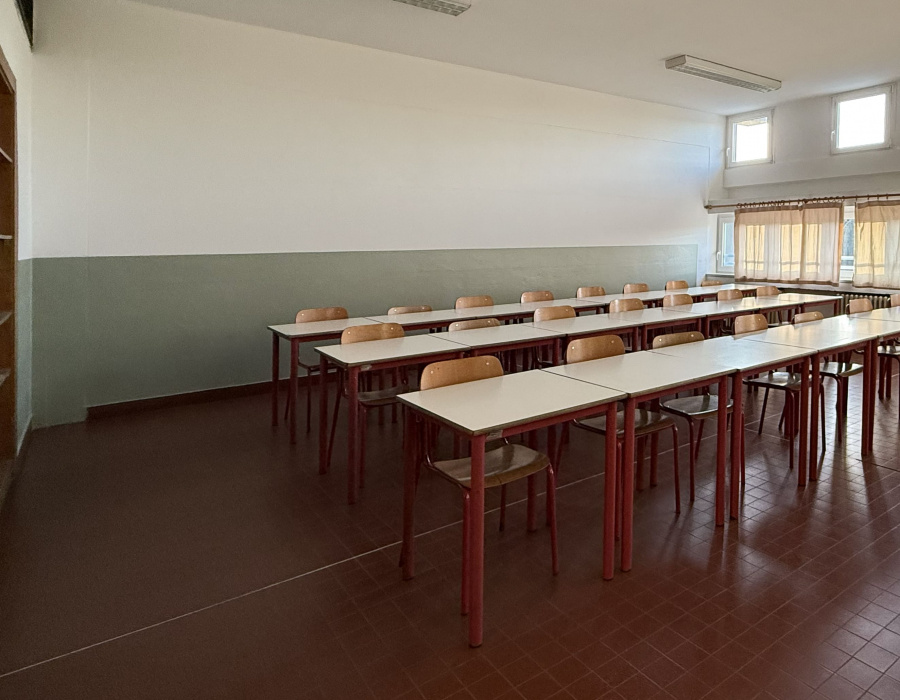 Isocolor fiesso d artico 12