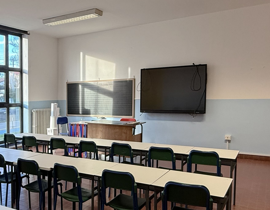 Isocolor fiesso d artico 13