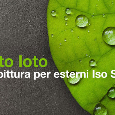 Lotus effect with iso siloxan exterior paint